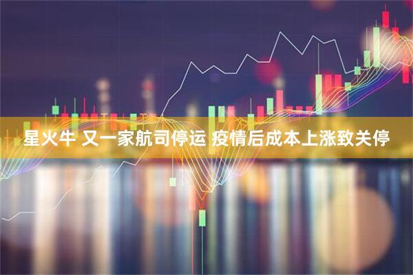 星火牛 又一家航司停运 疫情后成本上涨致关停