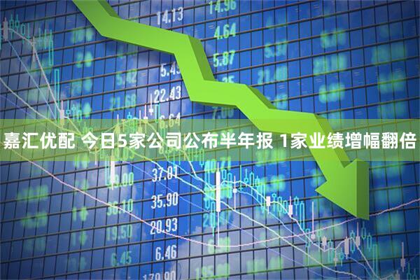 嘉汇优配 今日5家公司公布半年报 1家业绩增幅翻倍