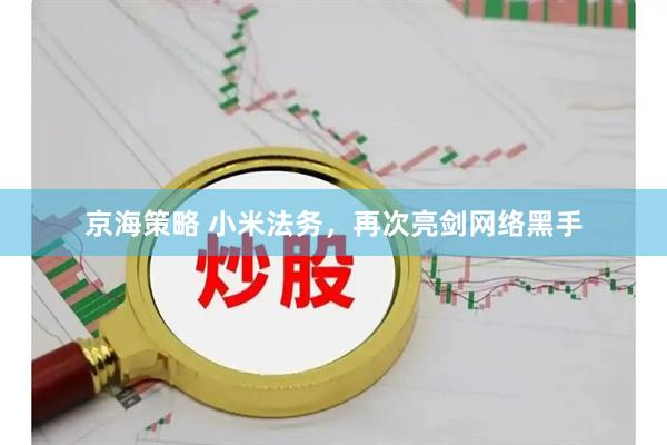 京海策略 小米法务，再次亮剑网络黑手