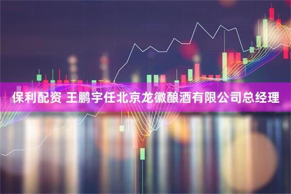 保利配资 王鹏宇任北京龙徽酿酒有限公司总经理