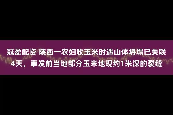 冠盈配资 陕西一农妇收玉米时遇山体坍塌已失联4天,事发前当地部分玉米地现约1米深的裂缝