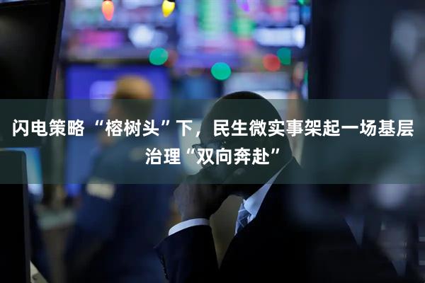 闪电策略 “榕树头”下,民生微实事架起一场基层治理“双向奔赴”